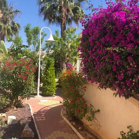 Villamartin Tosca Orihuela